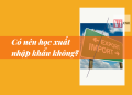 có nên học xuất nhập khẩu không 10