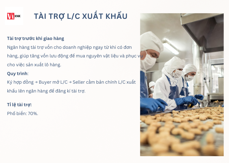 tai-tro-von-xuat-khau-2