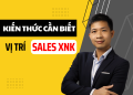 kiến thức sales xuất nhập khẩu