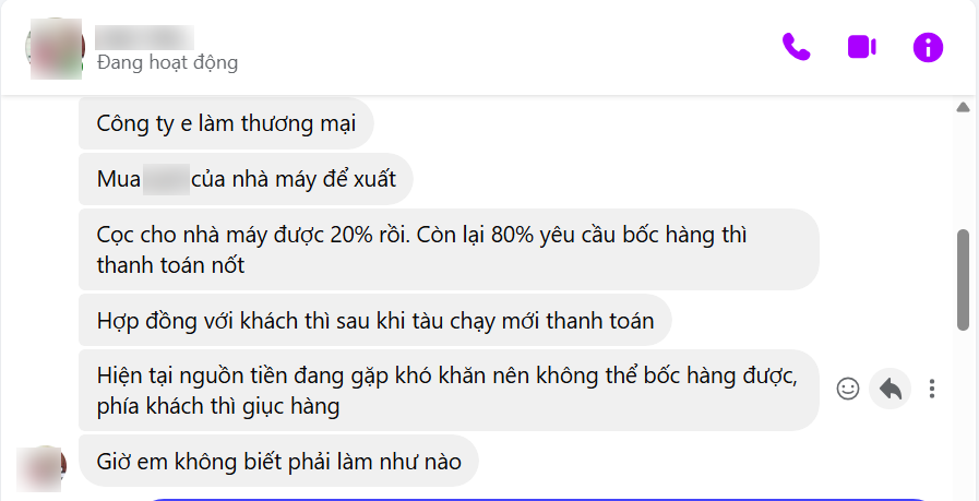 công ty trading xuất khẩu